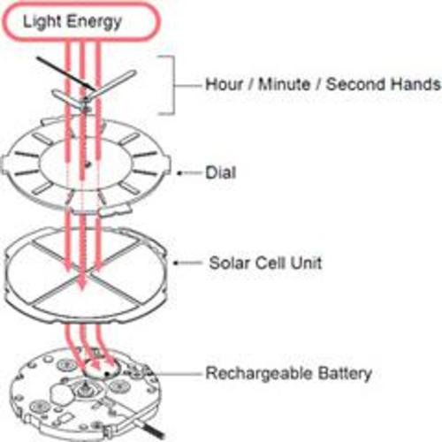 Seiko Coutura Solar Watch SUT308P-9