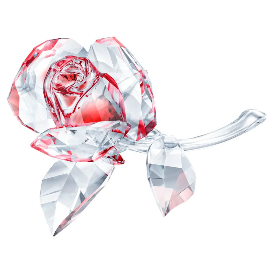 Swarovski Blossoming Rose 5428561