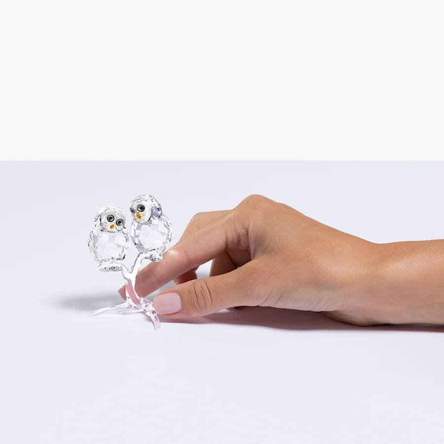 Swarovski Owl Couple 5493722