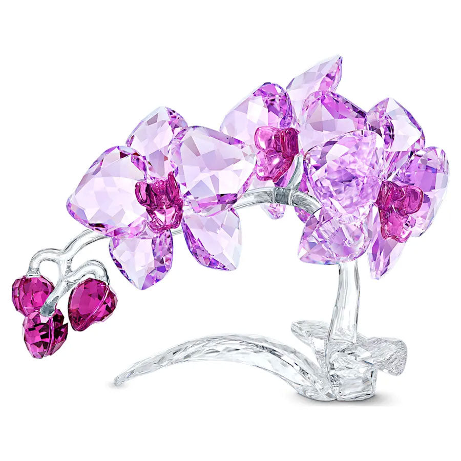 Swarovski Crystal Flowers Orchid 5520373