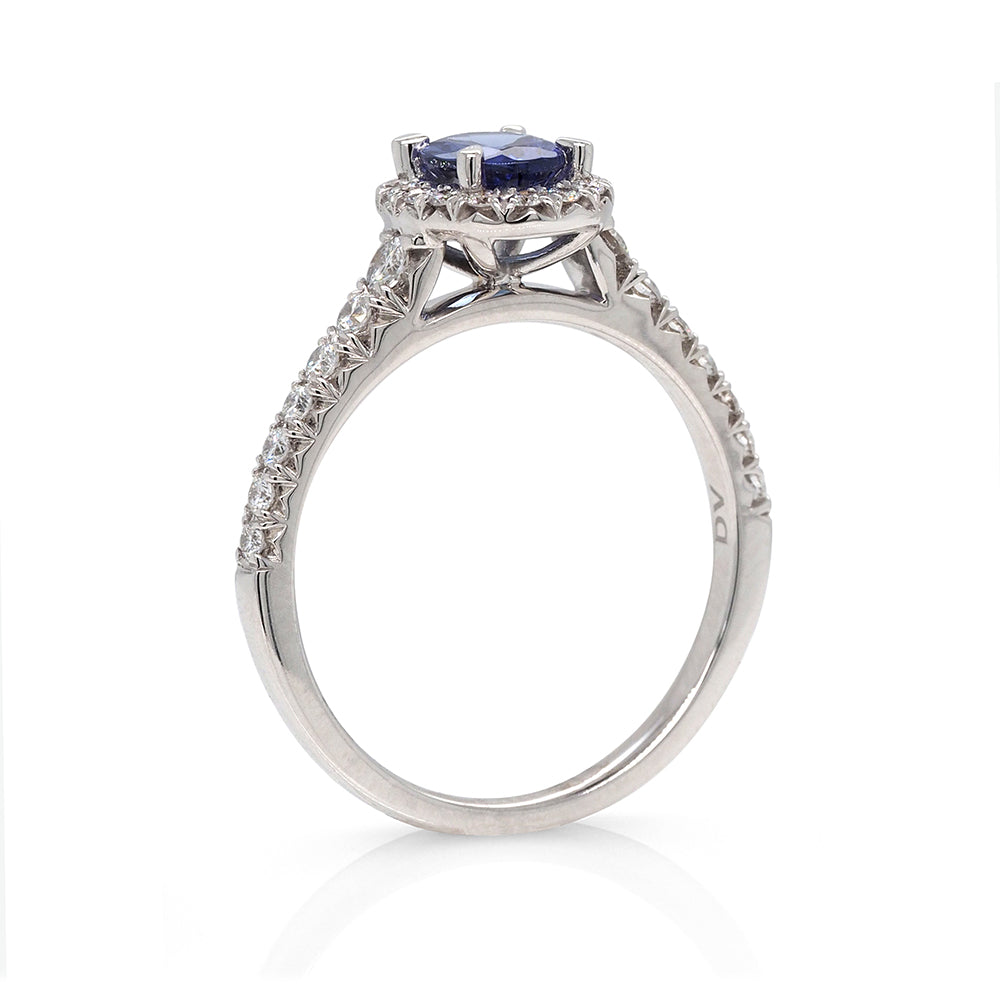 18ct White Gold Oval Tanzanite Ring With Diamond Halo And Sh