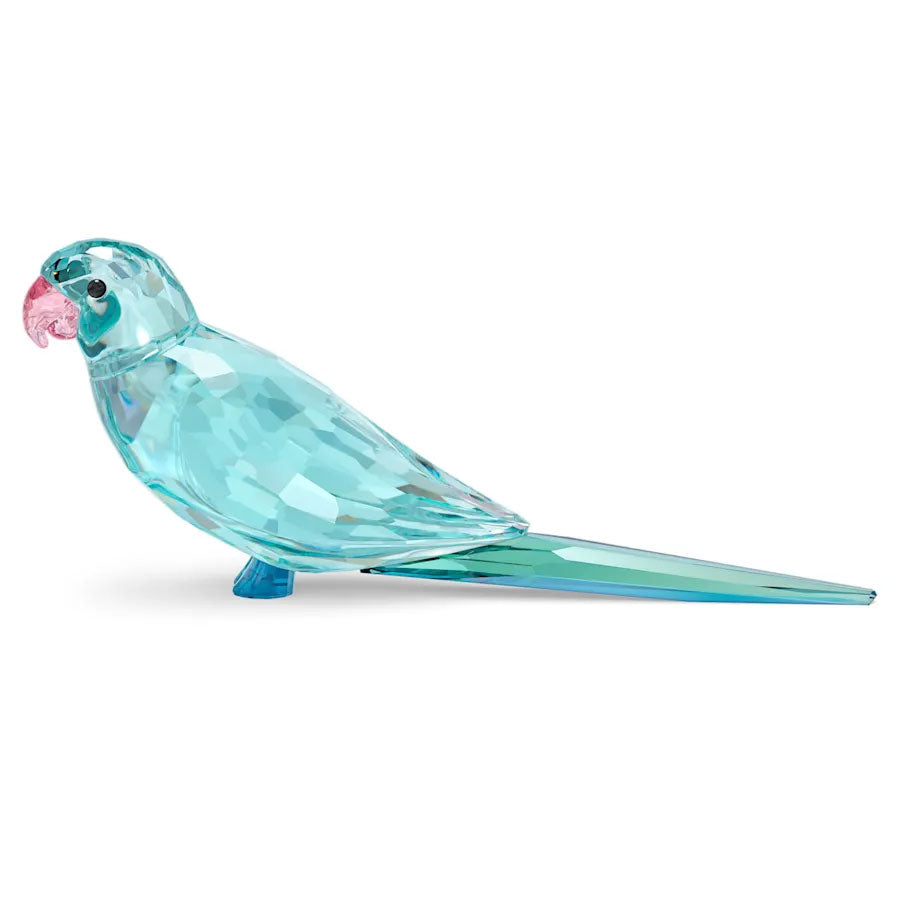 Swarovski Jungle Beats Blue Parakeet Paco 5574519