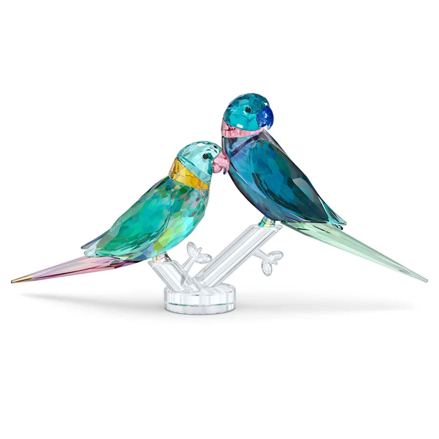 Swarovski Jungle Beats Parakeet Couple Fife & Fifer 5577124