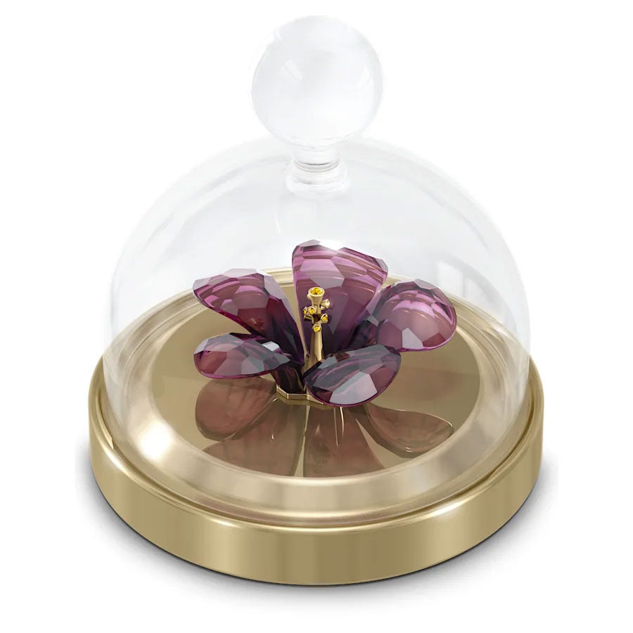 Swarovski Garden Tales Hibiscus Bell Jar Small 5619224
