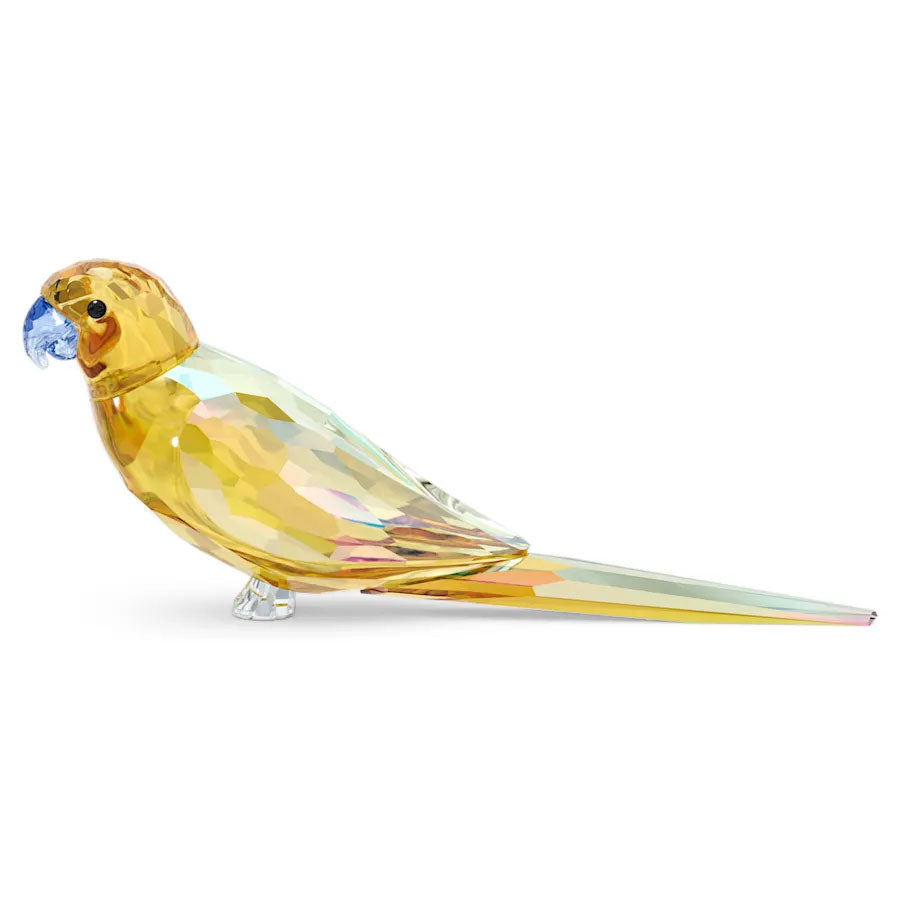 Swarovski Jungle Beats Yellow Parakeet Lechee 5619217