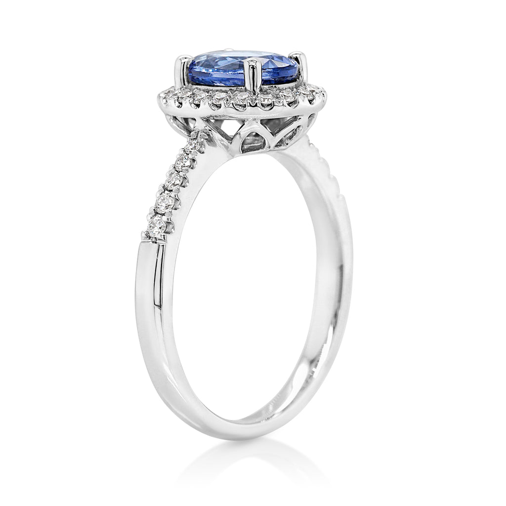 18ct White Gold Oval Tanzanite & Diamond Halo Ring TDW 0.27C