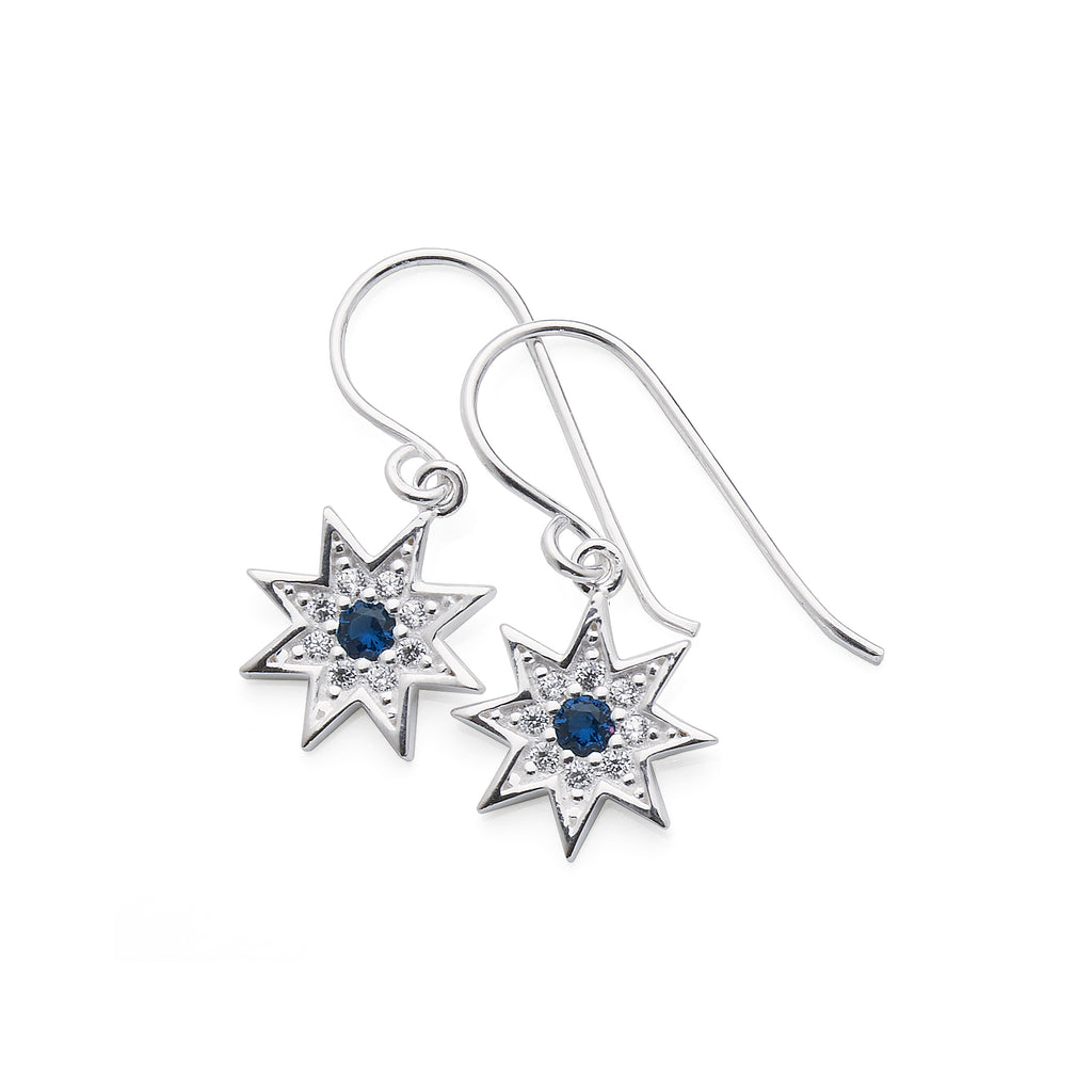 Sterling Silver Blue Cubic Zirconia 10mm Star Hook Earrings