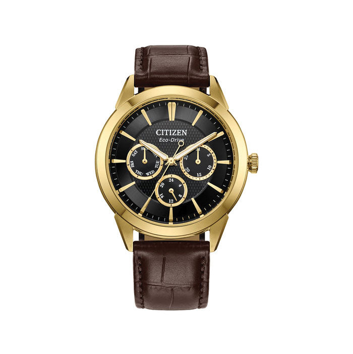 Citizen Eco-Drive Rolan Multi-Function Brown Leather Watch B