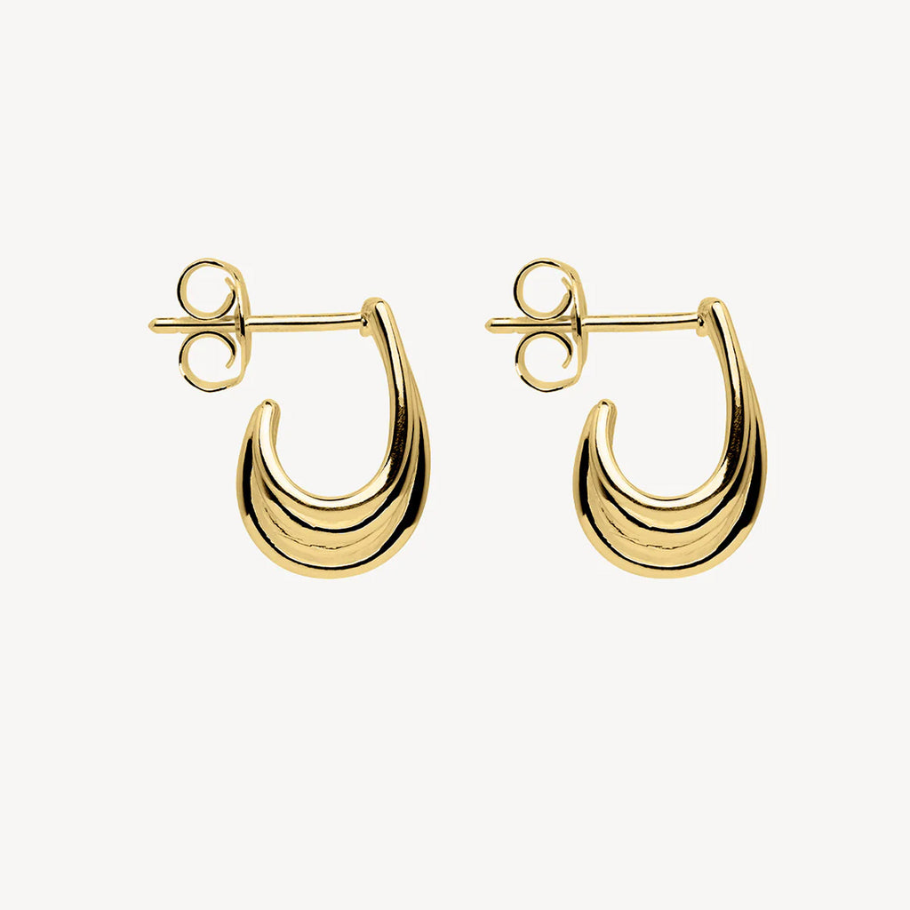 Najo Sterling Silver Gold Tone Vitality Earrings E7185