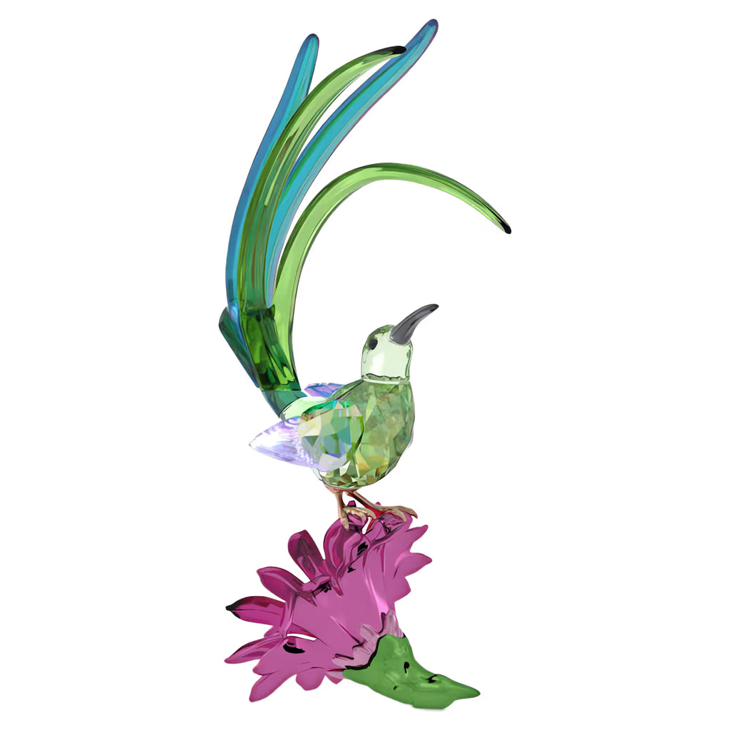 Swarovski Idyllia Sugarbird and Cactus Flower 5675166