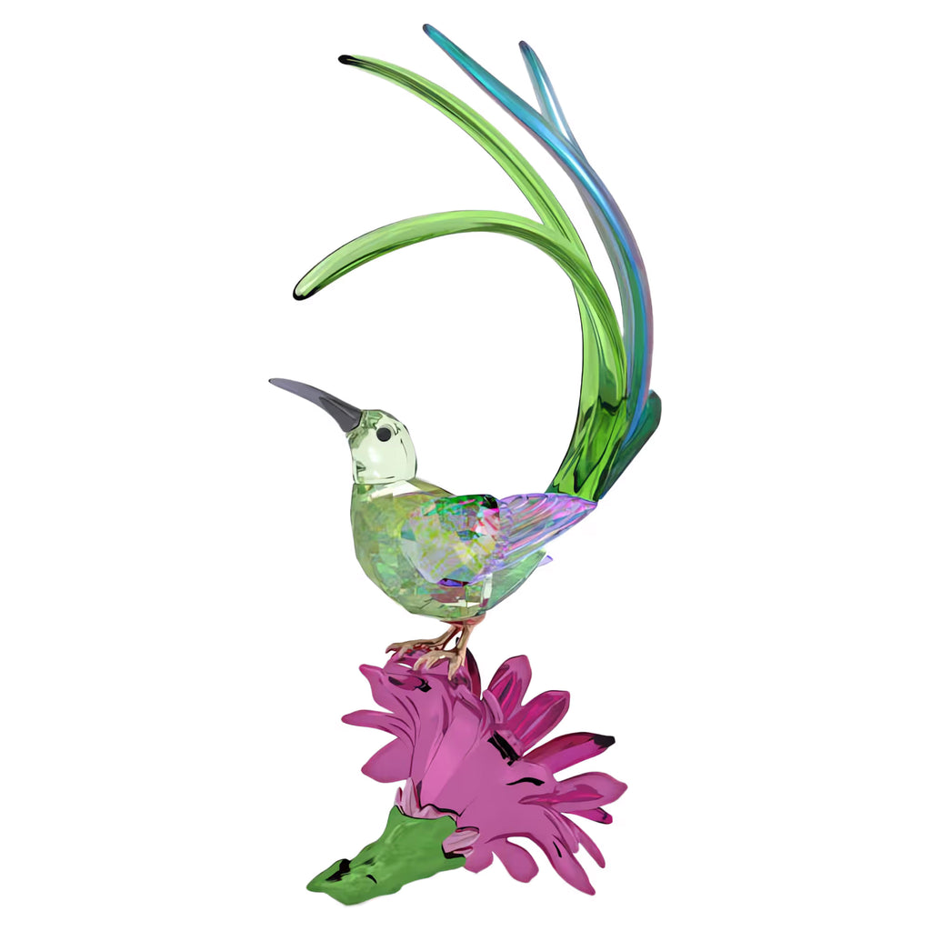 Swarovski Idyllia Sugarbird and Cactus Flower 5675166