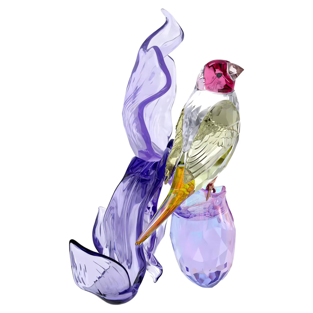 Swarovski Idyllia Gouldian Finch and Orchid 5675211