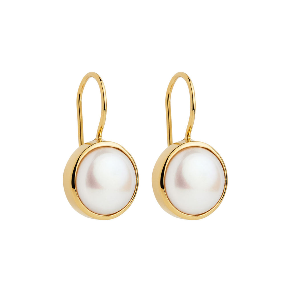 Najo 'Chroma' Moonstone Gold-Tone Hook Earrings E7268