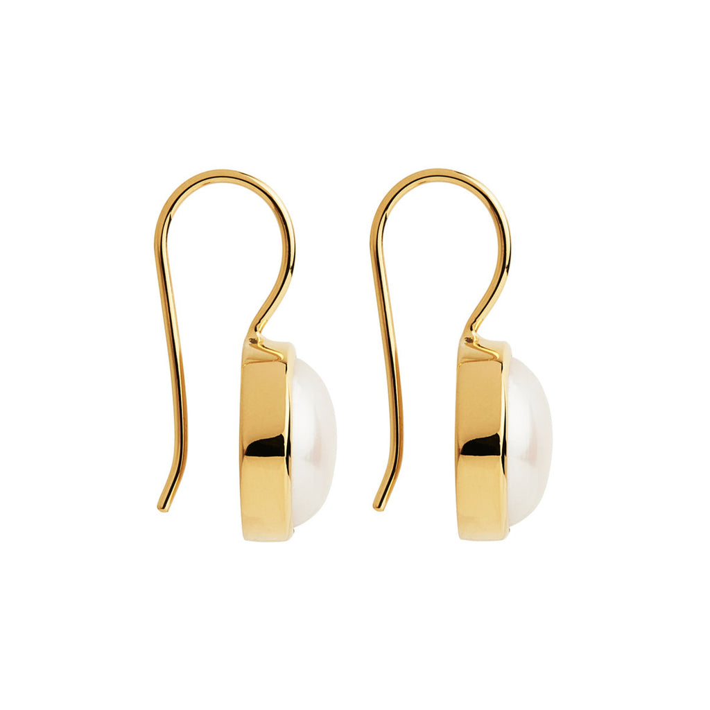 Najo 'Chroma' Moonstone Gold-Tone Hook Earrings E7268